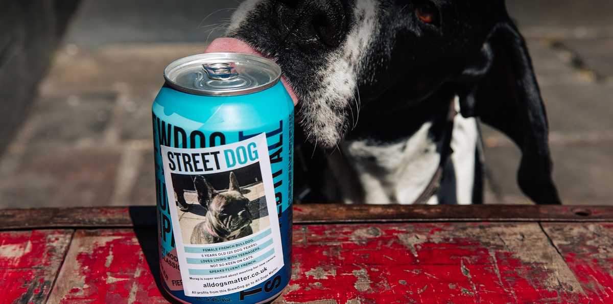 BrewDog street dog charity partnerships example