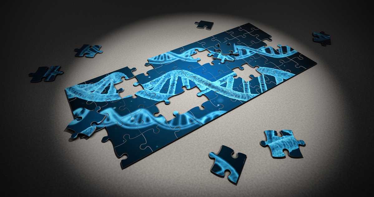 Puzzle showing image of genes